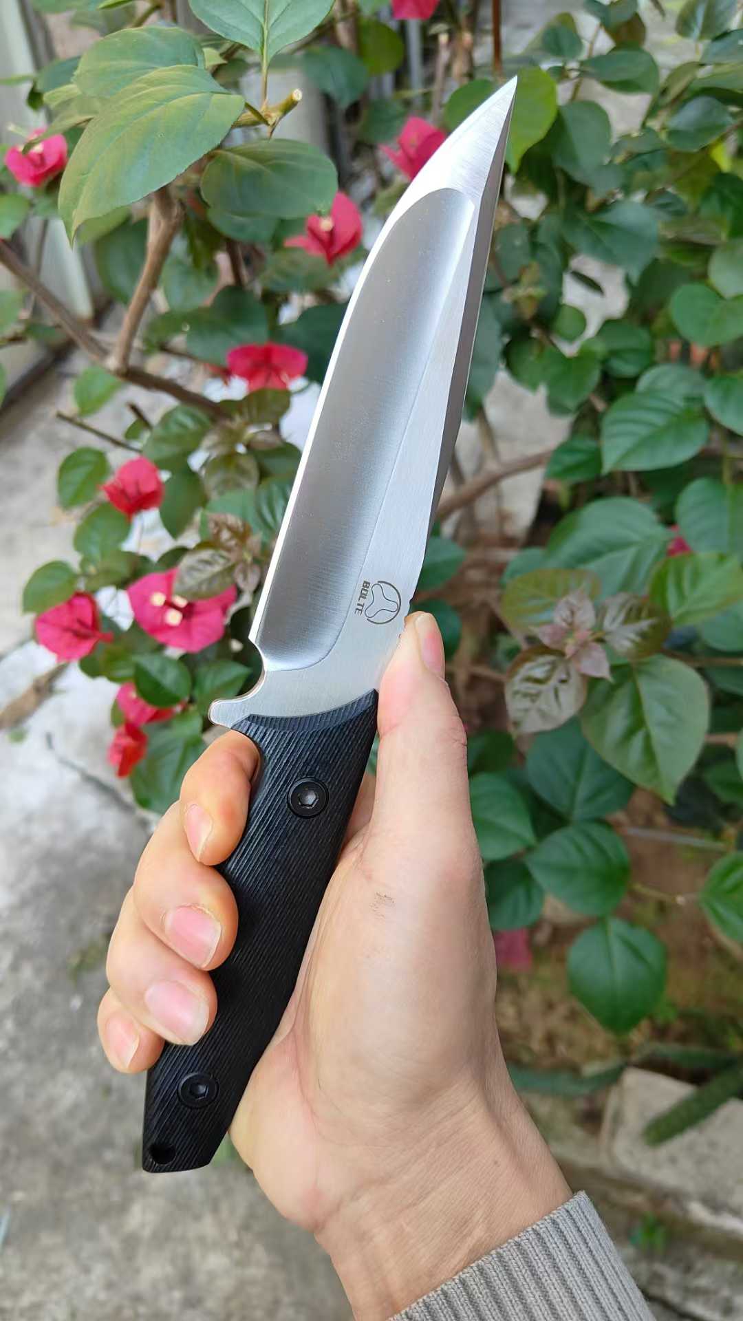 Bolte Flying Shark A8 Steel Outdoor Fixed Blade Knife